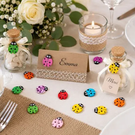 lot de 24 coccinelle en bois toute couleurs