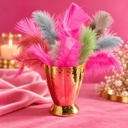 Plume déco