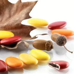 Dragées chocolat thème Boisé - 1kg