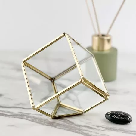 Terrarium - Cube Prisme cadeau déco