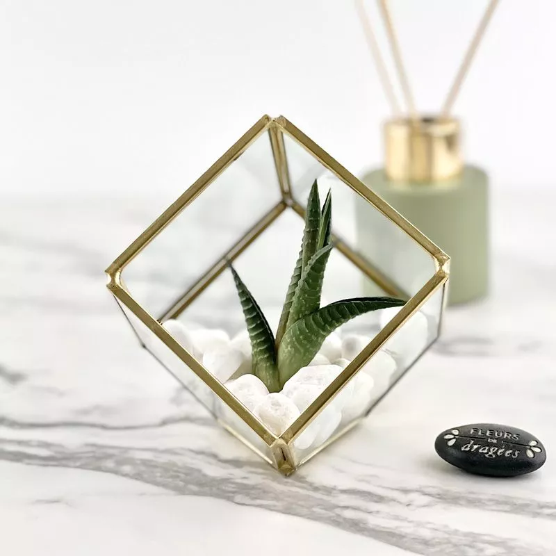 Terrarium - Cube Prisme cadeau déco